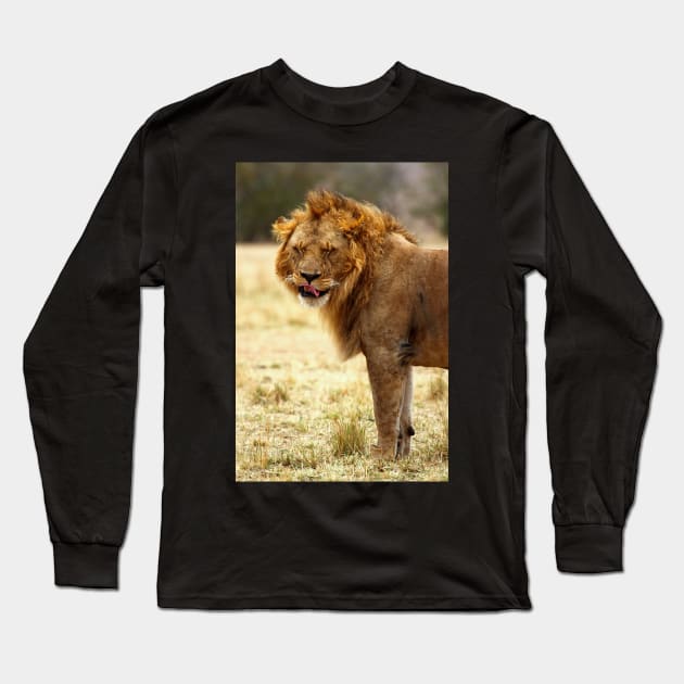 Mmmmm...Nice ! The Male Lion After Copulation, Maasai Mara, Kenya Long Sleeve T-Shirt by Carole-Anne